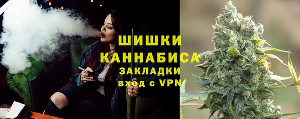 дмт Богданович