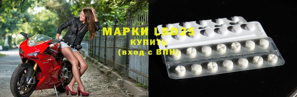дмт Богданович