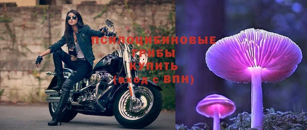 бутират Белокуриха