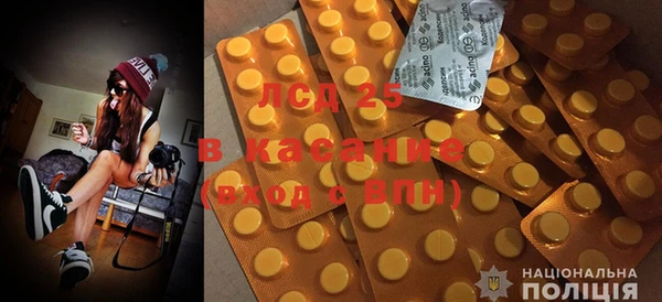 дмт Богданович